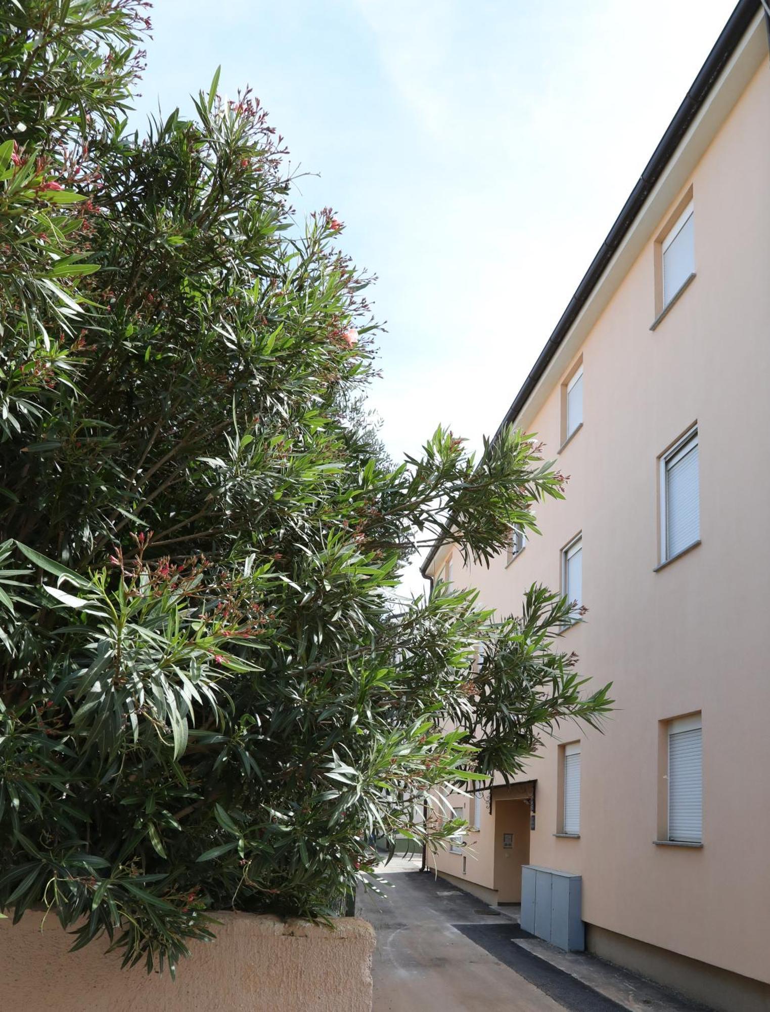 Apartment Loly Medulin Extérieur photo